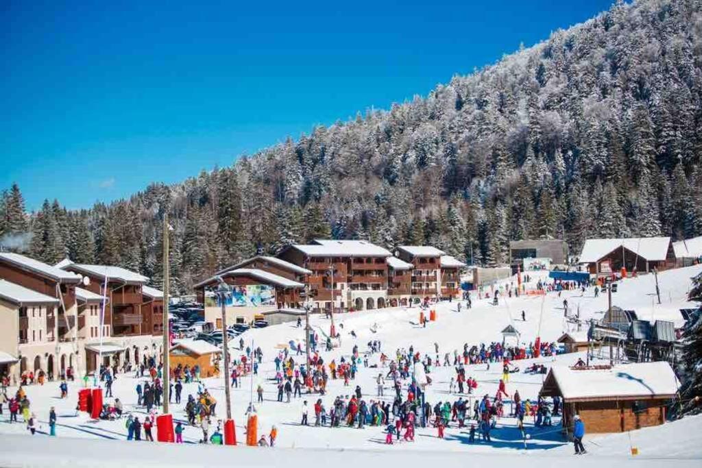 Cocon Des Chaumes Appartement La Bresse Buitenkant foto